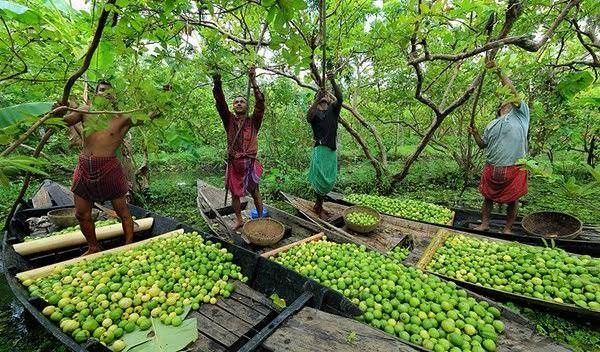 Cox's Bazar
